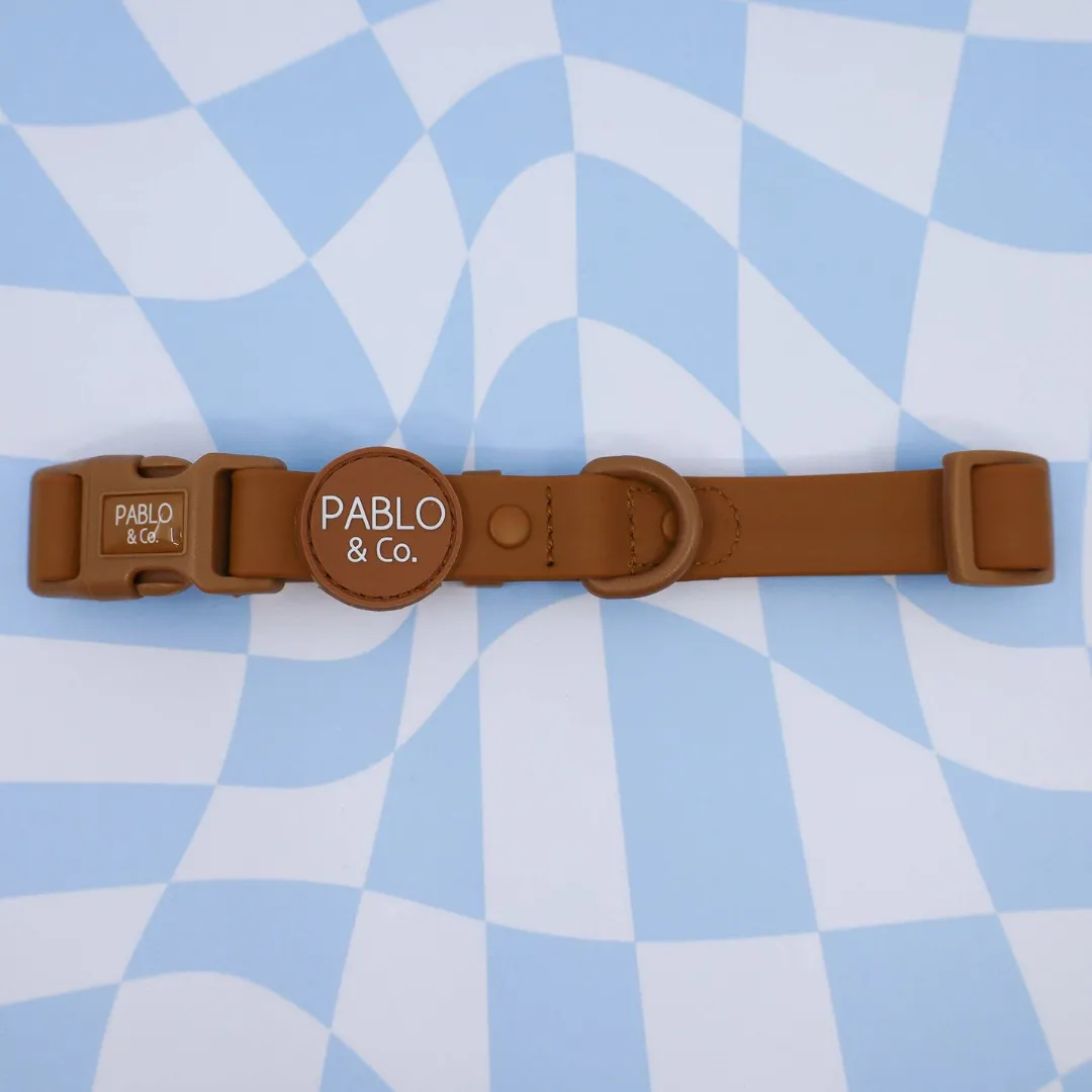 Pablo & Co. Waterproof Dog Collar